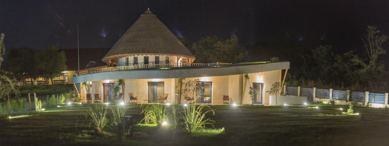 Pensiunea Nest Dunavatu de Jos Exterior photo